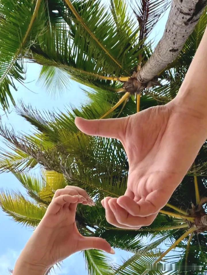 👺男人的心思：他为什么为你花钱

说到底，男人为你花的钱分两种：一种是