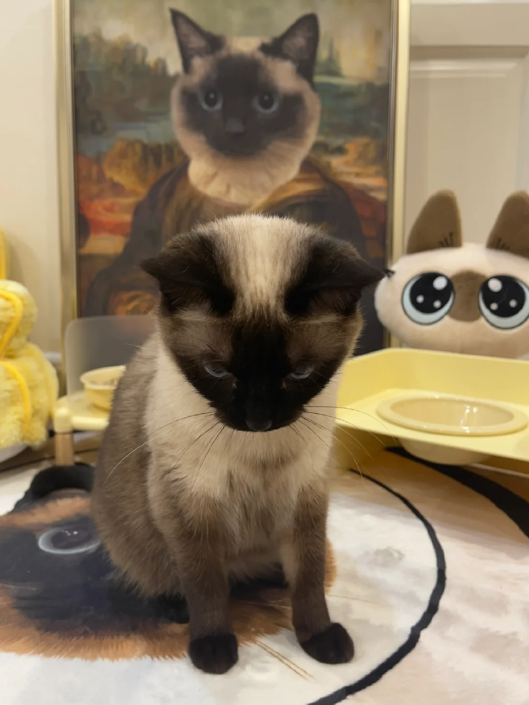 5分钟没开饭 她就生气了