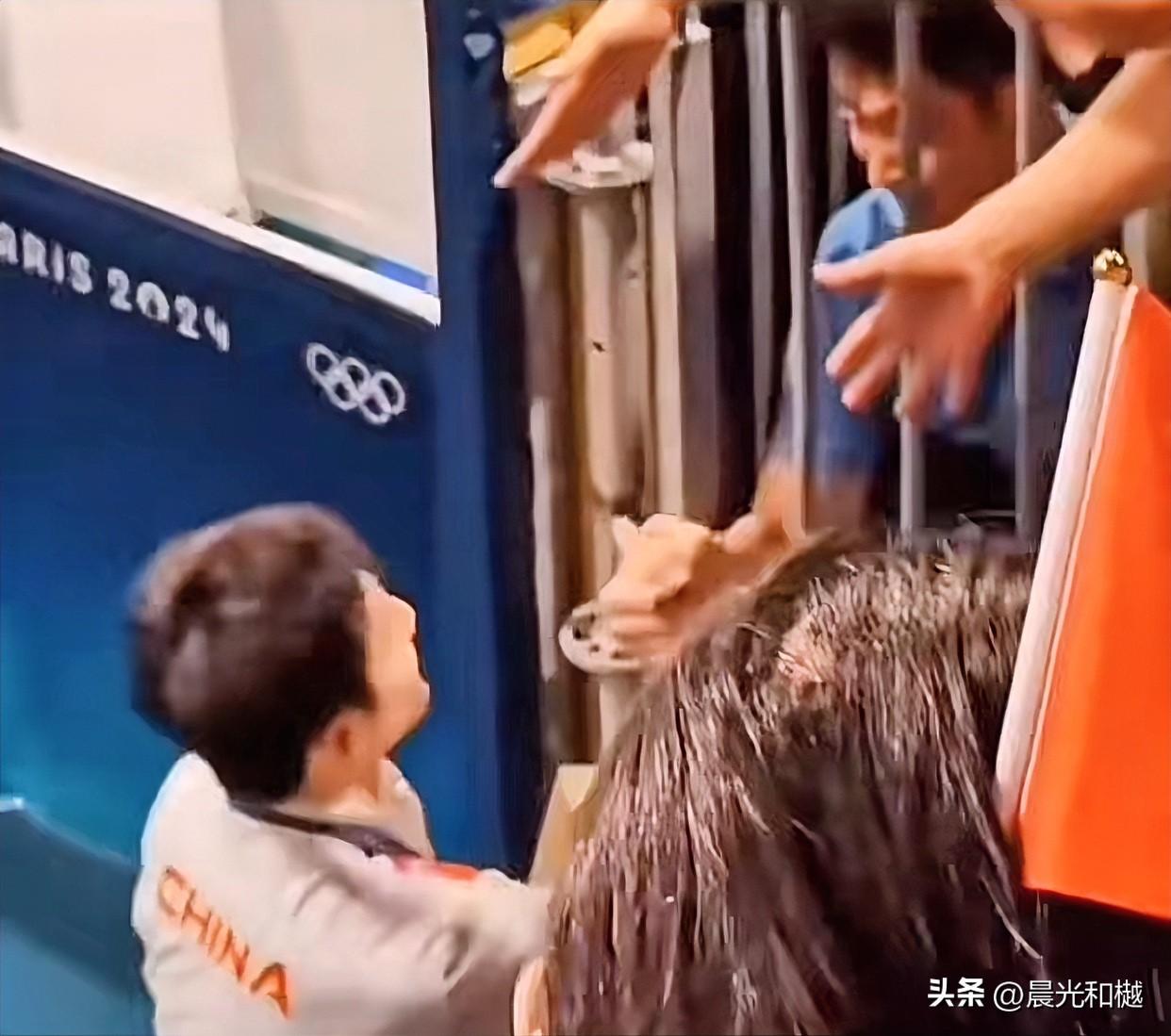 樊振东回归国乒不远了：

王励勤一句正在联系中，表明了乒协对奥运冠军的态度，当然