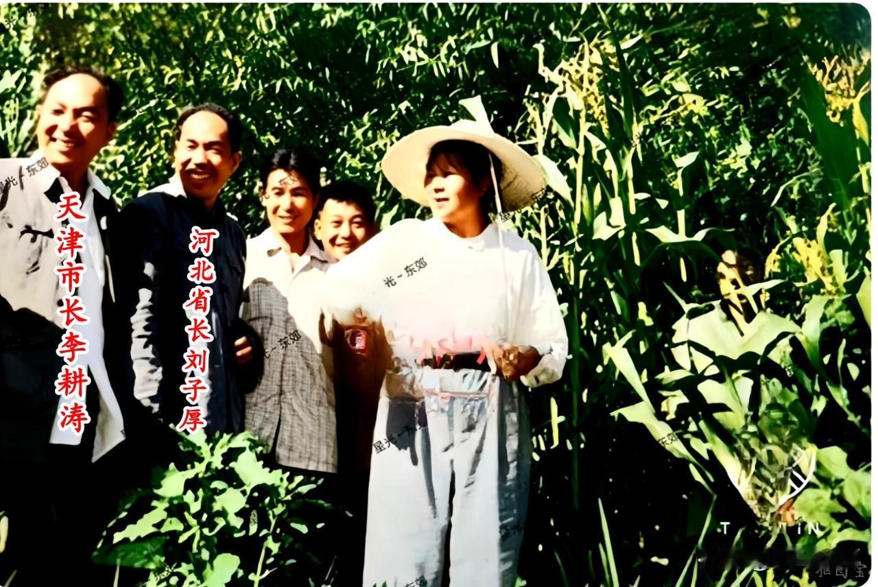 🍁毛主席牵挂的天津新立村，现在什么样？
1958年8月10日，在刘子厚等当地有