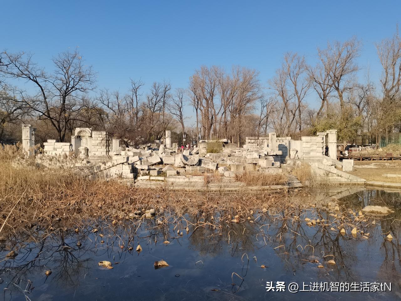 圆明园的秋天，残荷败柳、静水慢流，与被毁后园林美景相得益彰！