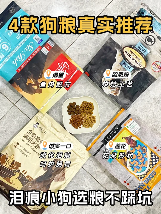 烘焙狗粮推荐|想换狗粮的家长看过来！