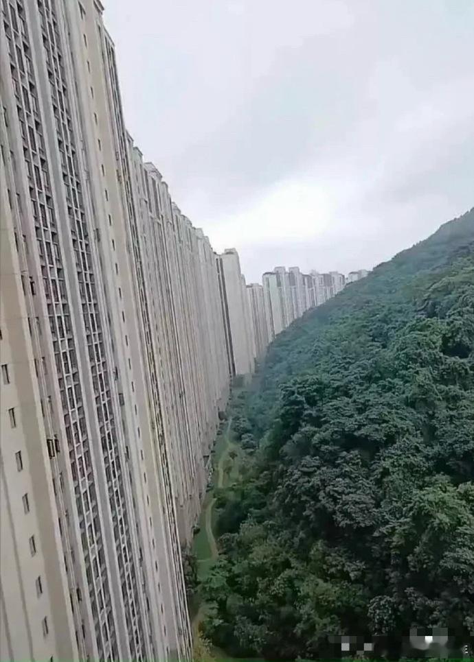 大山 没想到这辈子会被挡住 ​​​