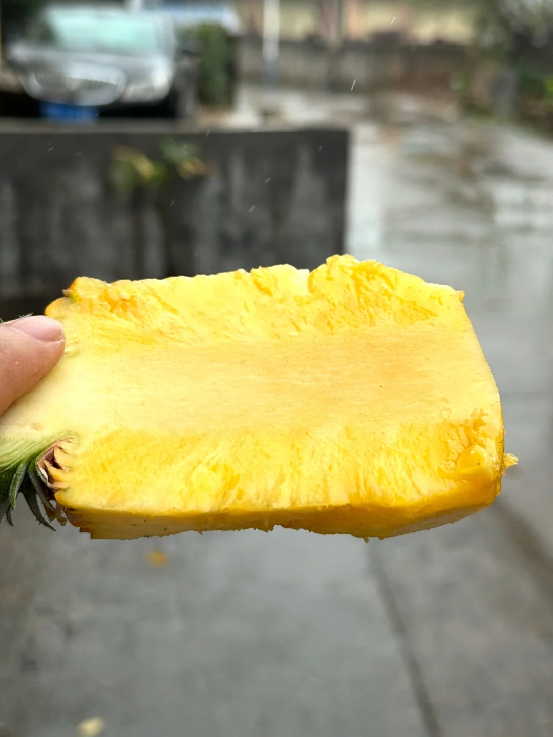 你真的要夸一下，我个位数买的凤梨真的好甜！