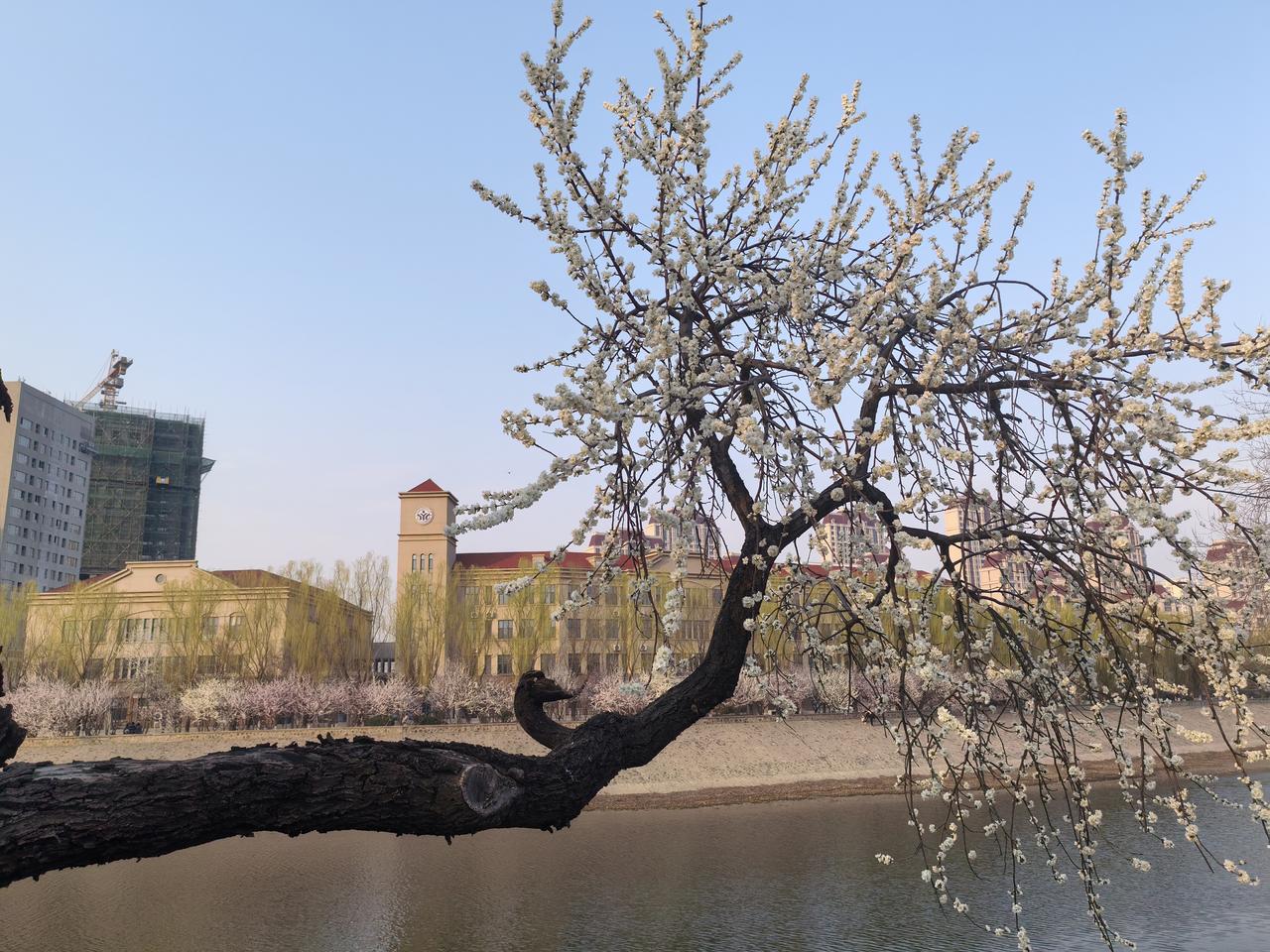 时光匆匆，岁月无声，珍惜当下每一刻，不负流年不负自己。