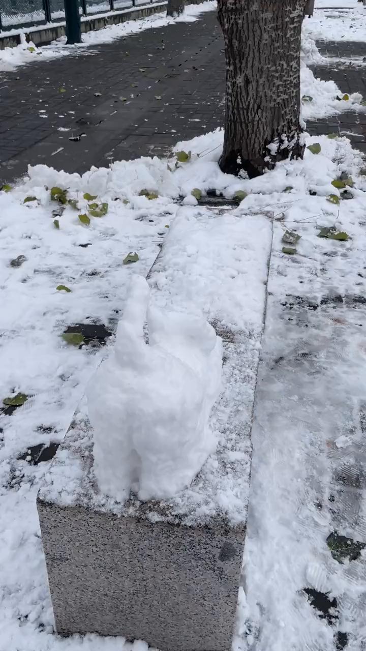 喂，你那里下雪了吗？