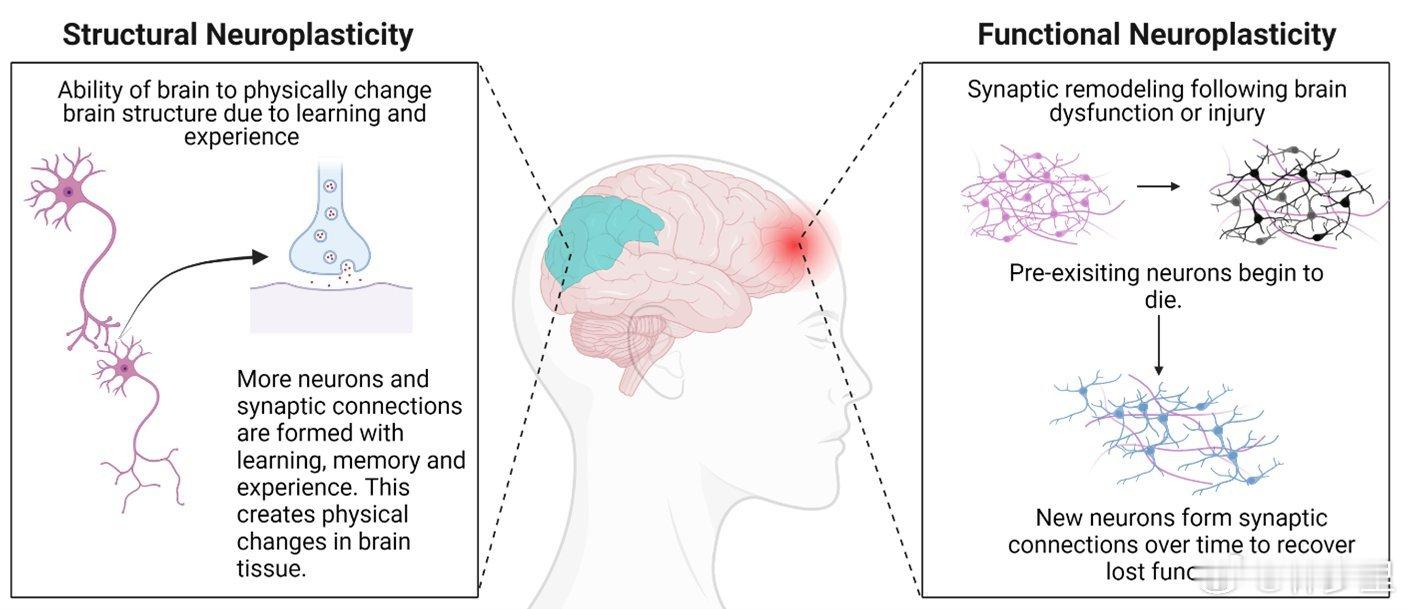 多地取消高一高二年期末统考不要笑话小镇做题家。小镇做题家，是非常科学的。反复做题