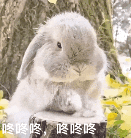 分享图片 