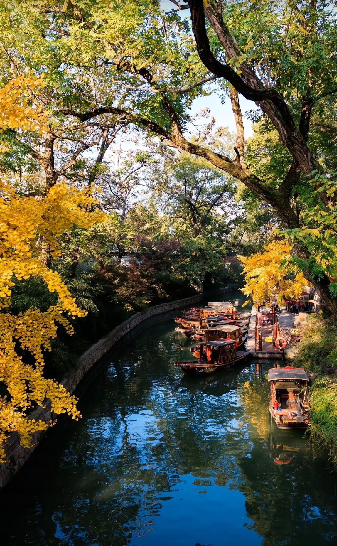 五彩斑斓五颜六色，生机盎然