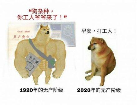 #Cheems去世# 啊？从此工人爷爷孤单了… ​​​