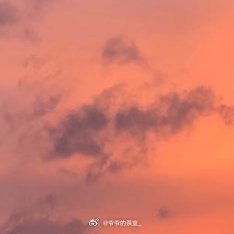 每日一善阳光信用善是心灵的养分, 滋养我们的内心, 让我们在纷扰的世界中找到平静