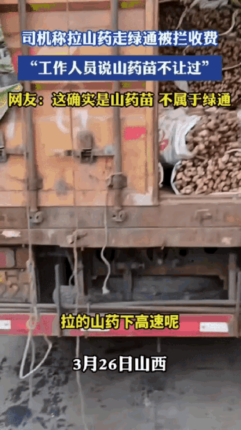 货车司机拉山药苗走绿通被拒，这事真不冤

山西，一货车司机拉着一车山药过收费站，