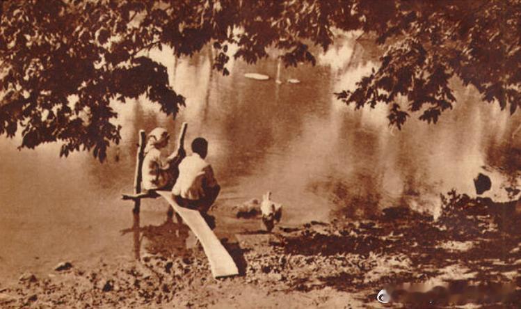 1935年科教片《农人之春》在比利时国际农村电影比赛获得特别奖，这是中国第一部在