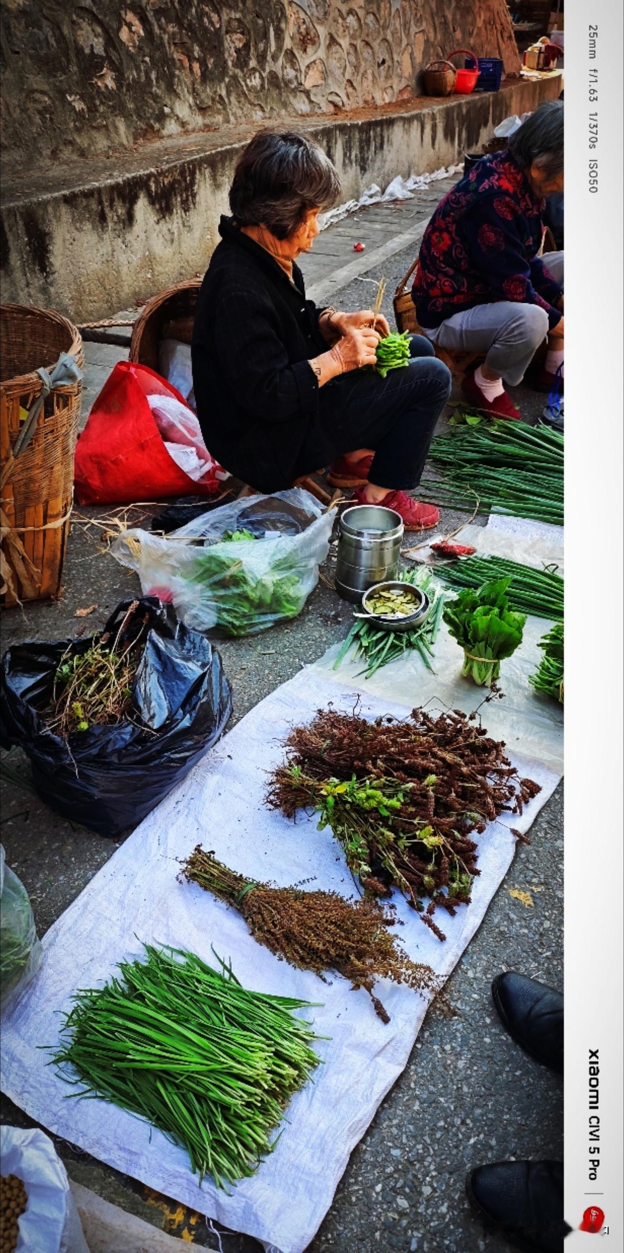 农贸市场，都是清早从地里割来拔来的。铺好化肥袋子，一根根的摘成净菜，一把把的扎成