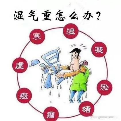 寒湿、痰湿和湿热怎么区别？如何调理？

你是否经常感到身体沉重、四肢无力、食欲不