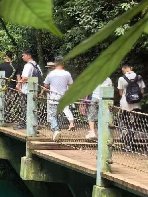我读了十几年书，大学毕业，最后在家带孩子
 
有时候深夜睡不着，心里总会偷偷难过