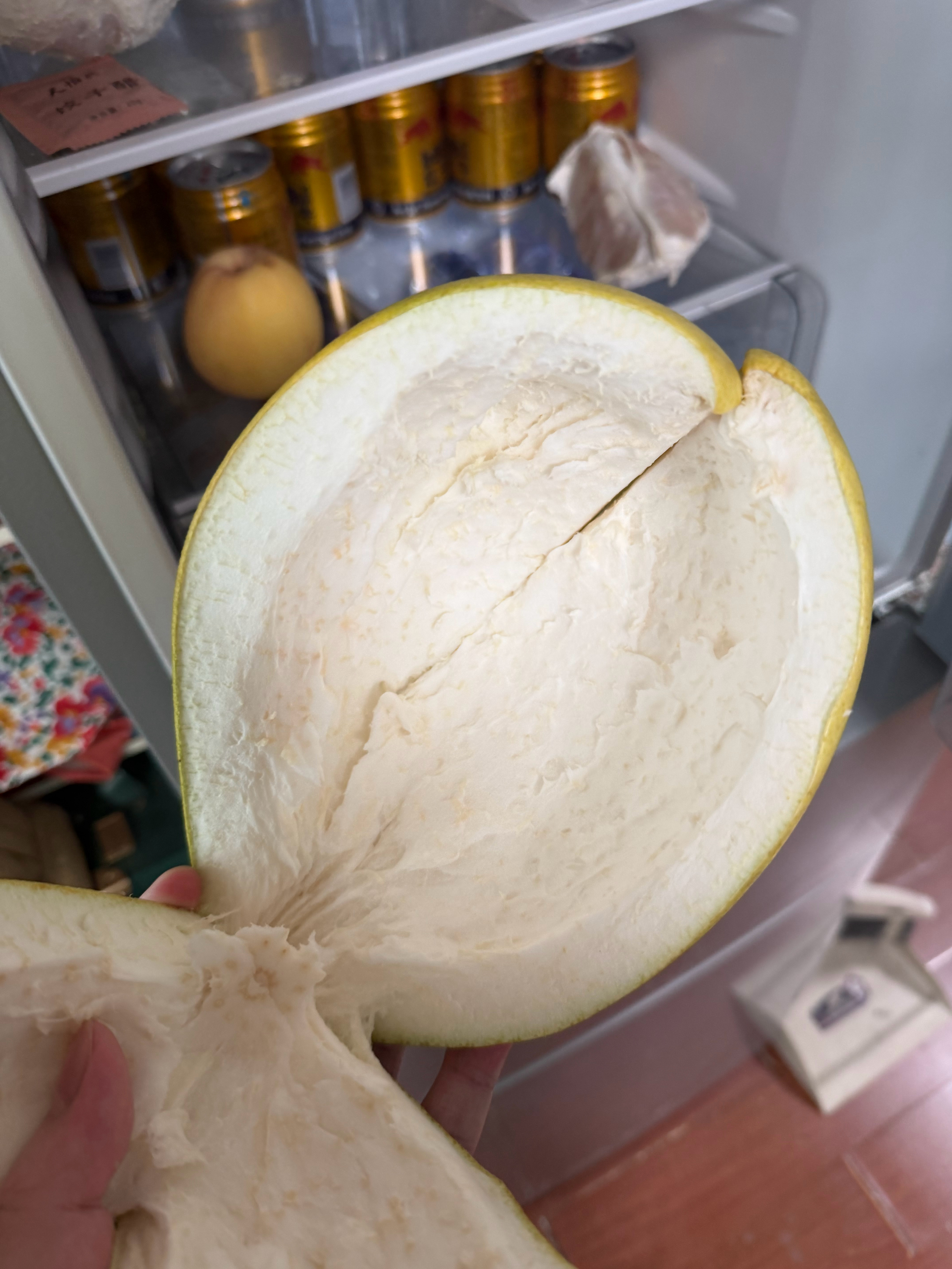 都说柚子皮放冰箱里可以除异味，这都放好几天了，可冰箱里还是有味道，于是问了一下豆