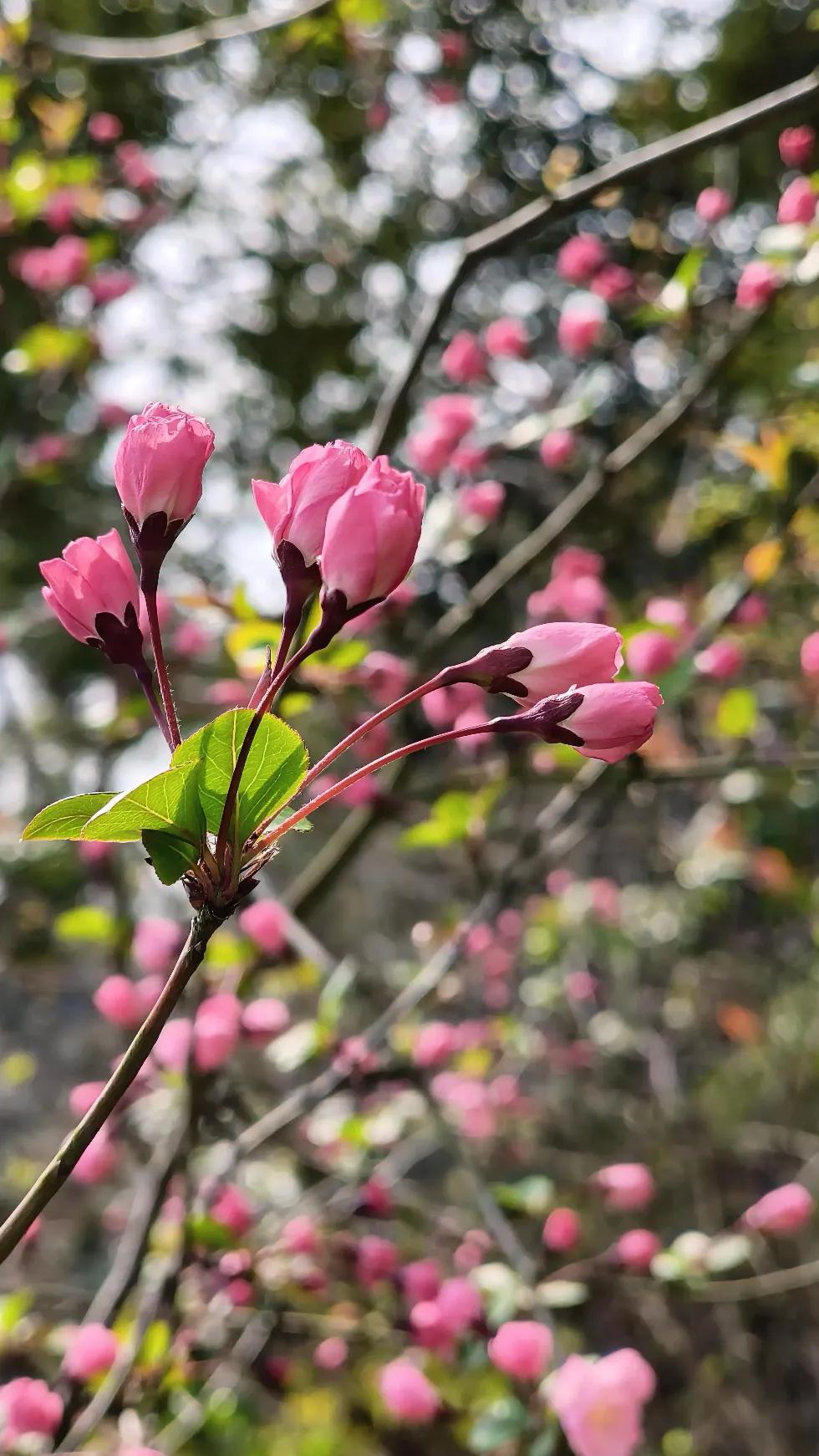 3月19号，公司总部派人到本项目检查。领导告知大家，要把各自区域的工作做好，绝不