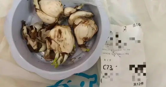 盒马回应将鲜百合误送成水仙球致祖孙中毒