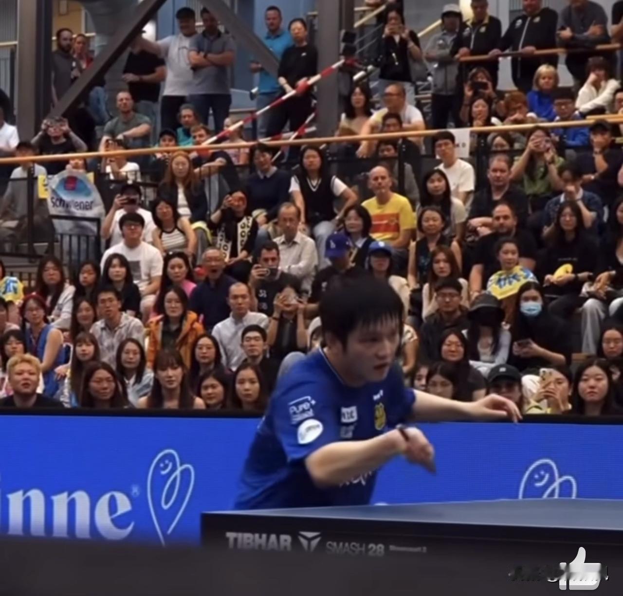 樊振东这“掏球术”，真的在变魔术？
今天刷到央视体育的视频，我直接坐直了。不是比