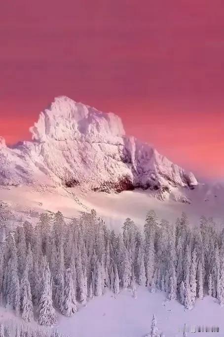雪后红霞映，松林静无声。欣赏宇宙山河浪漫，享受人间烟火温暖。