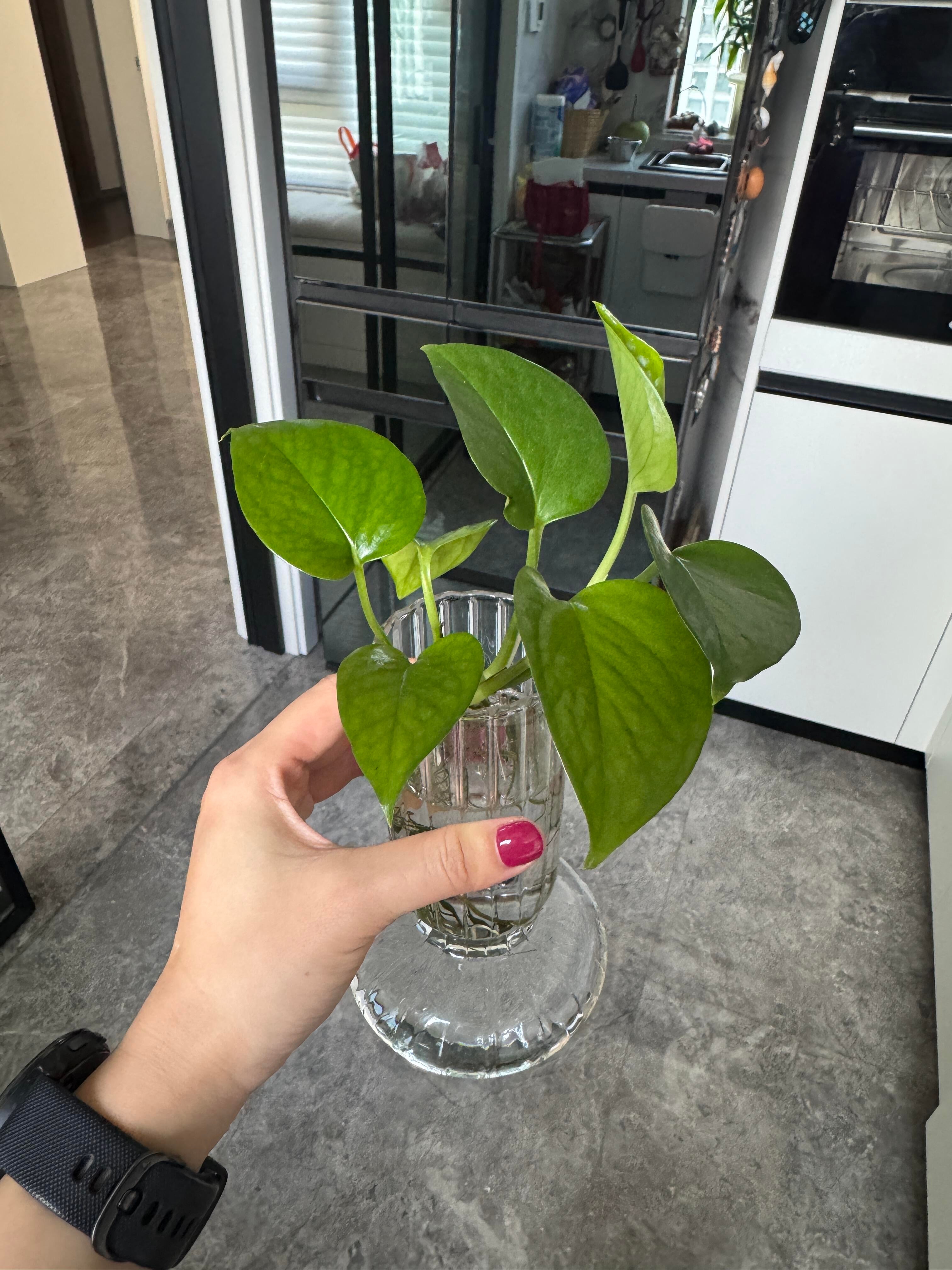 更新一些日常碎片🧩人生就应该慢慢过，慢慢去感受生活；这个年纪物质和奢侈品对我来