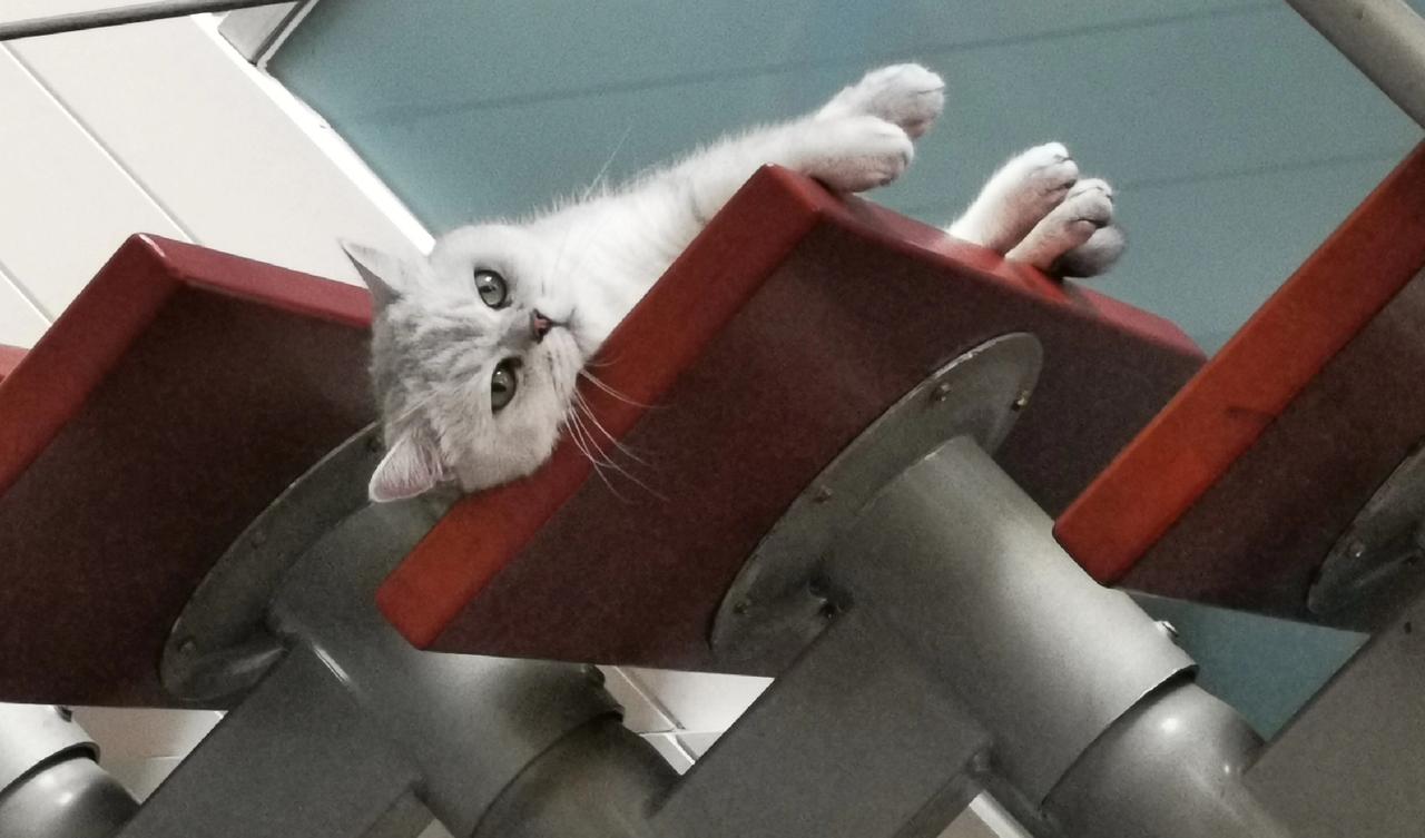 听说“养龙虾”政府给补贴300万，养殖户老王连夜把自家的鱼塘清了底，又打发儿子去