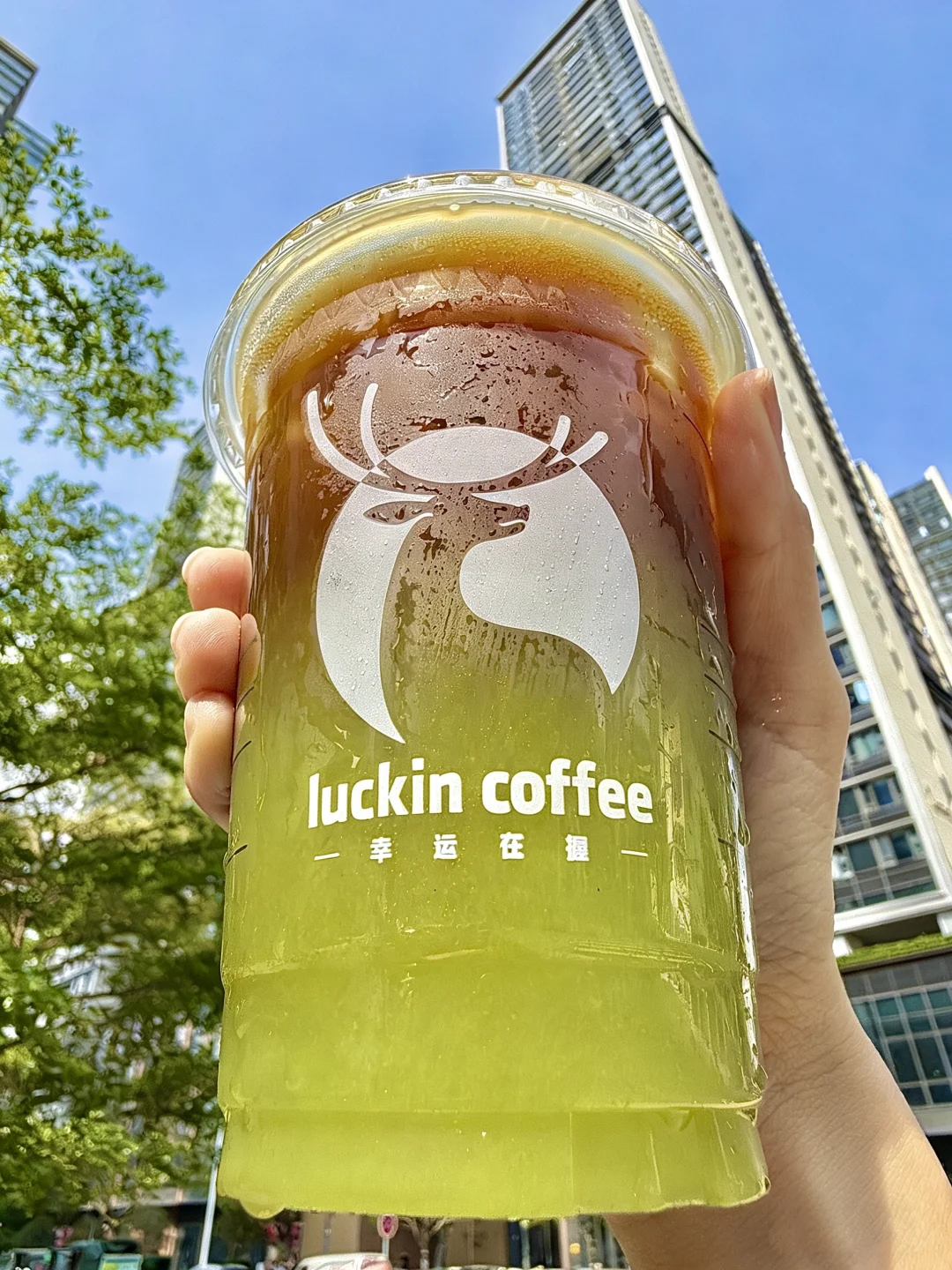 真的被净化了…可惜这杯瑞幸就深圳能喝到