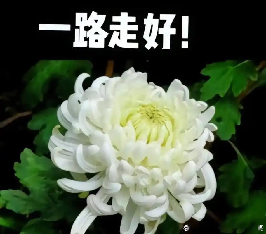 快乐大本营创办者去世说实在的，对于发展多年的节目，倾注的都是全台成员的心血。特别