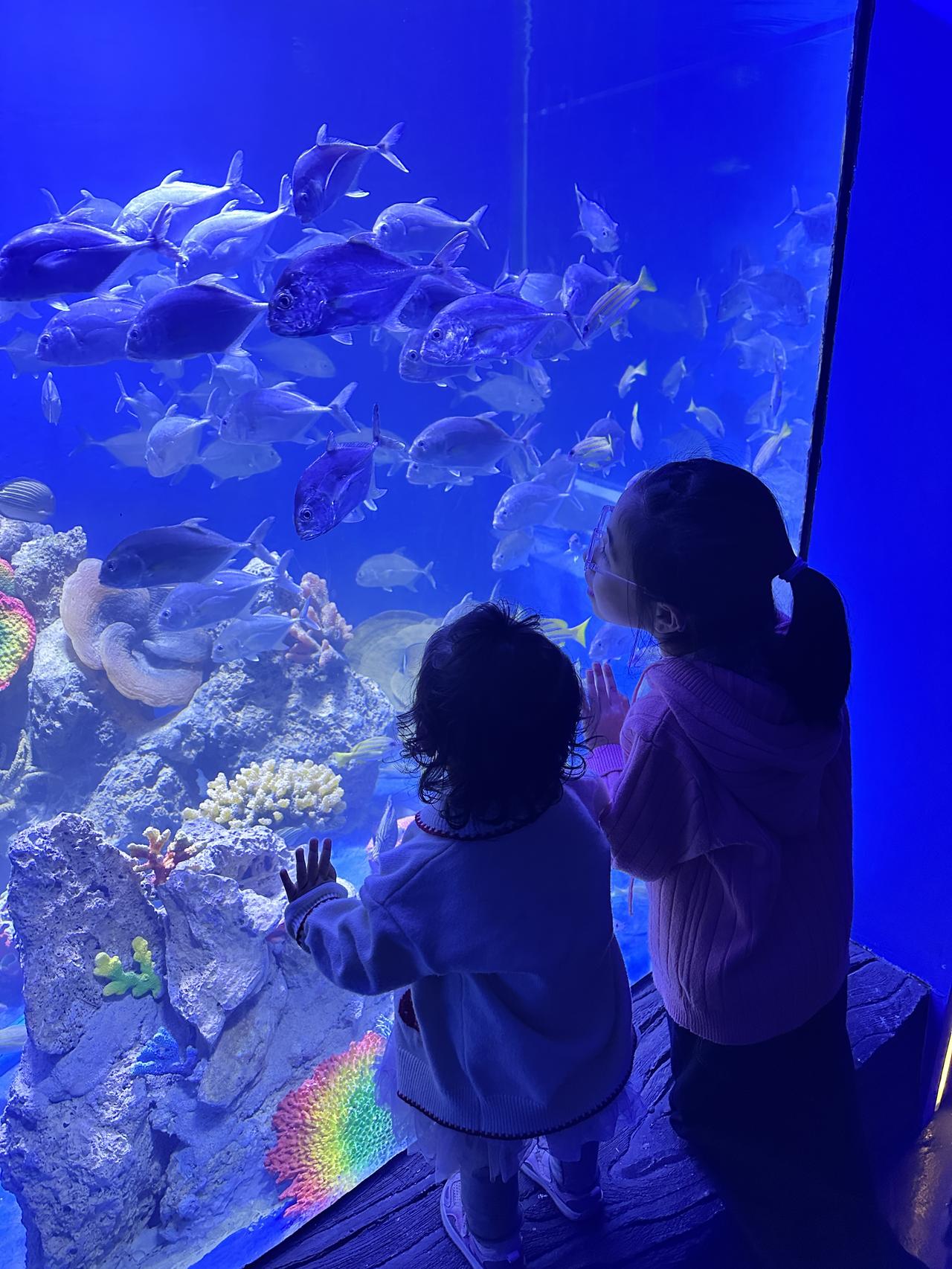 昨天，碰到一位00后的男生，他对女孩子的要求如下：
自己养不活自己的女孩子，他不