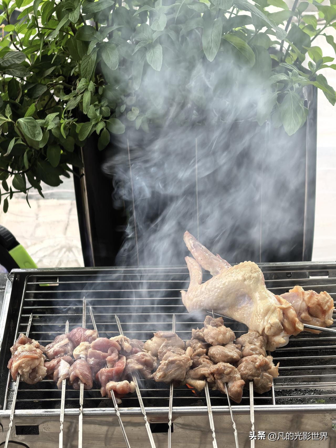 春天一到，烧烤的诱惑就像小钩子一样勾着人。三八妇女节，原计划是到江边烧烤野餐，弟