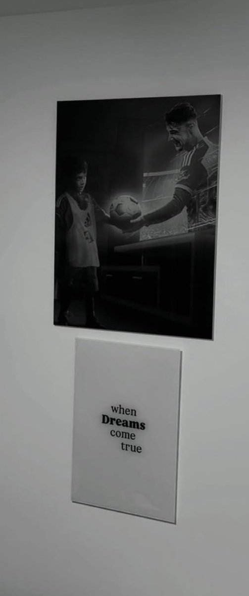 帕夫洛维奇家里的海报 