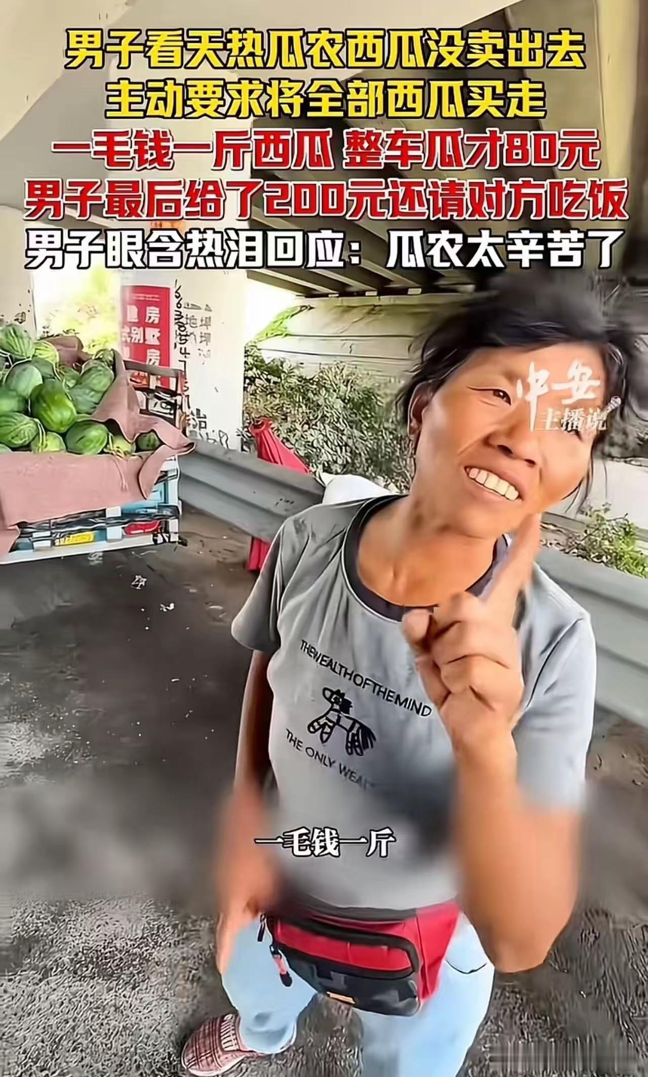 一毛钱一斤！你敢想吗，河南瓜地里现摘的新鲜西瓜，大姐才卖1毛钱一斤！一小车西瓜才