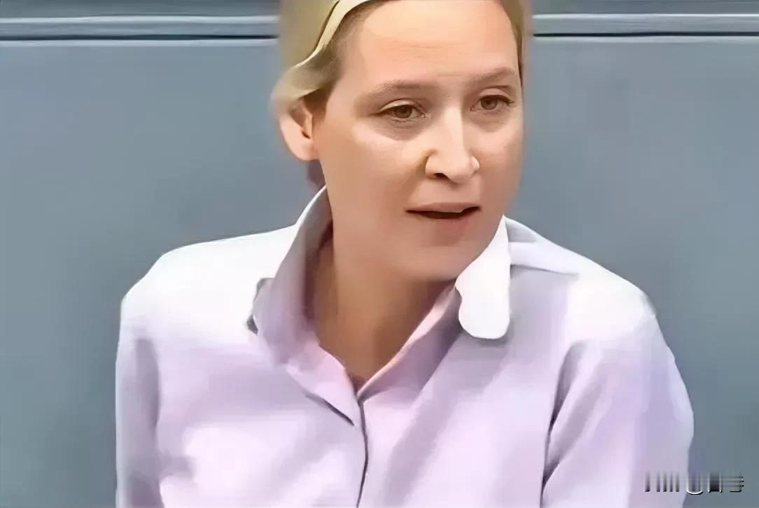 一针见血！

德国选择党主席魏德尔在德国议会演讲时发出灵魂拷问：

假如台湾不属