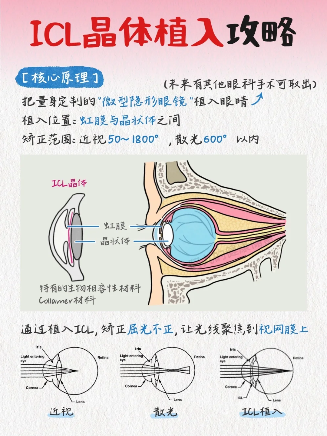 你想了解的ICL都在这！超全作业直接照抄