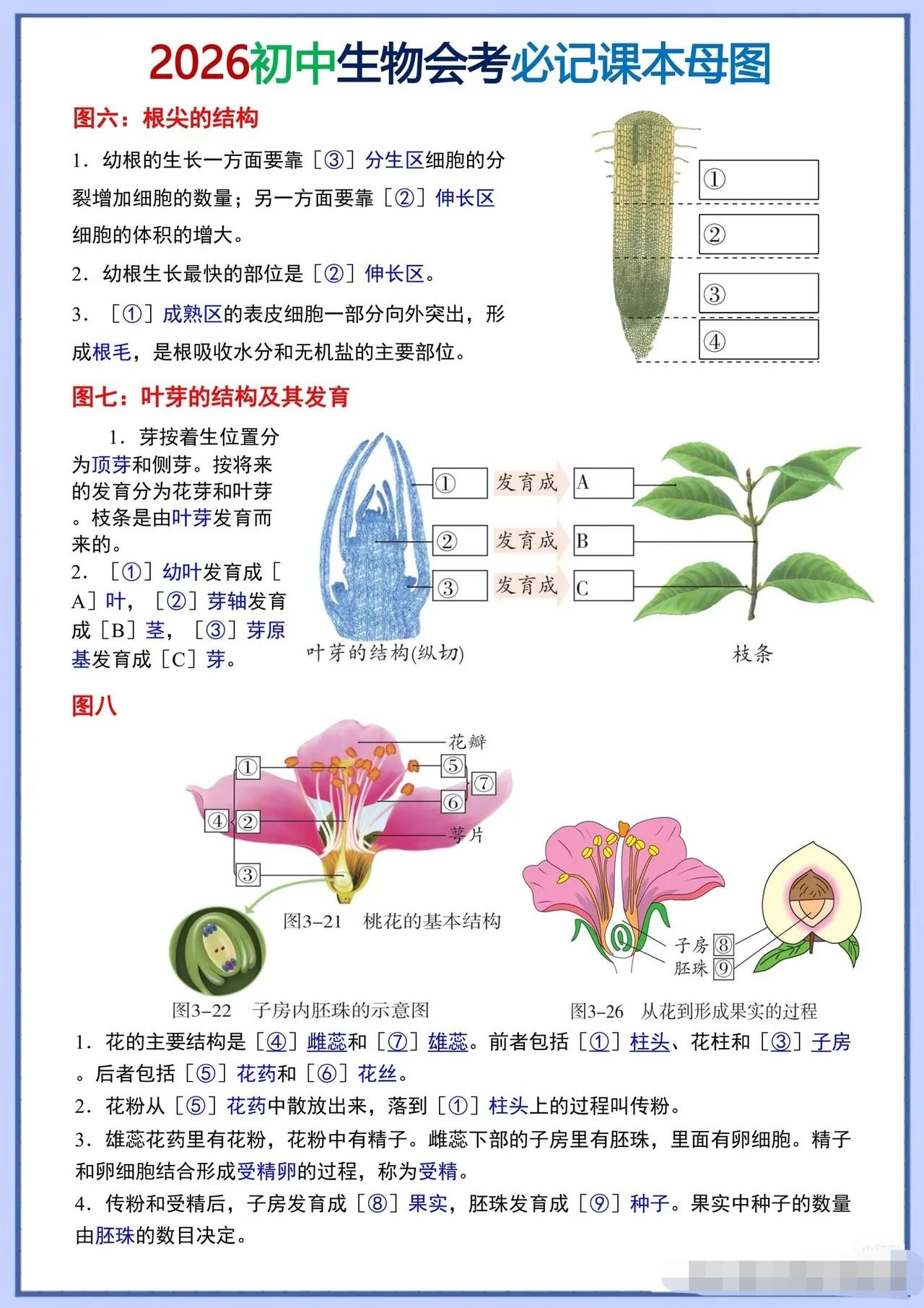 生物会考，图表题是必考大题，很多同学知识点背熟，但看图答题就出错。
这份亲妈级课