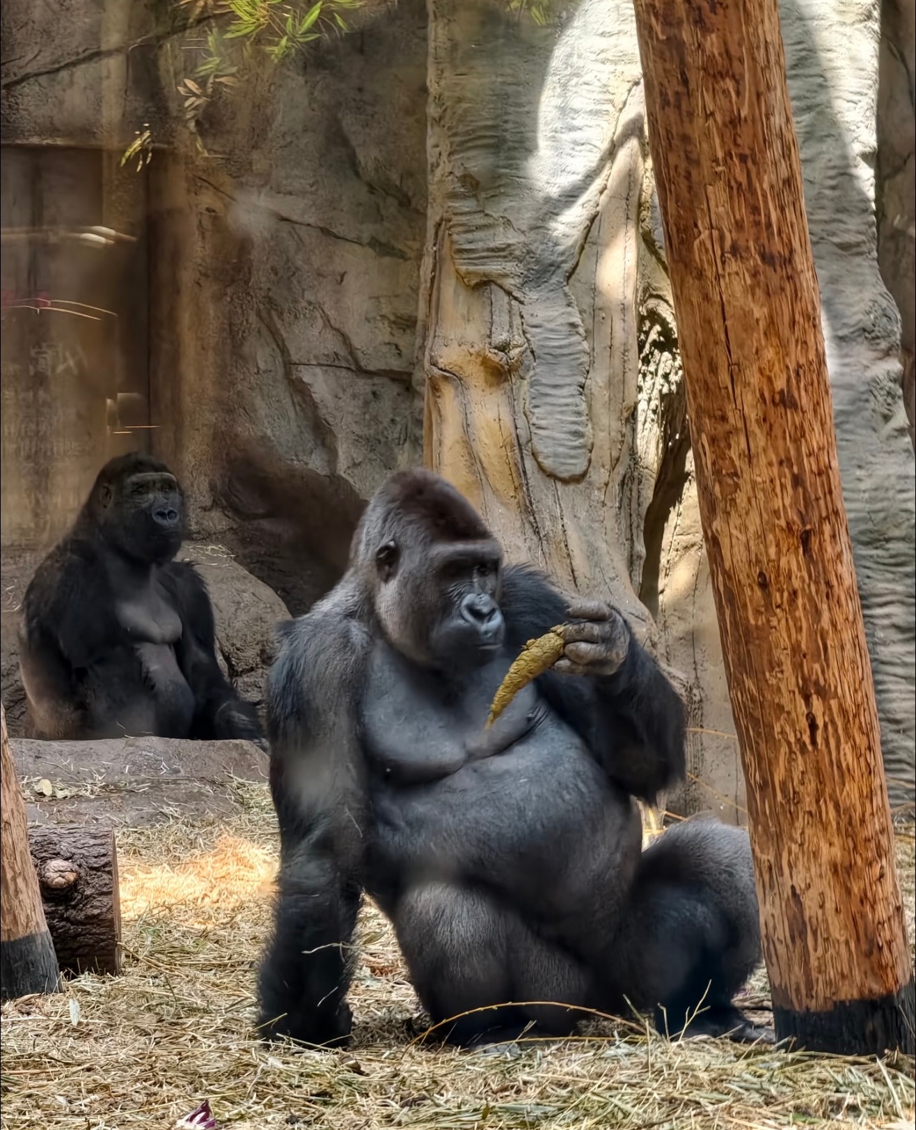 不该约肠镜了这泻药喝的我好难受啊就跟吃翔的感觉一样一样的