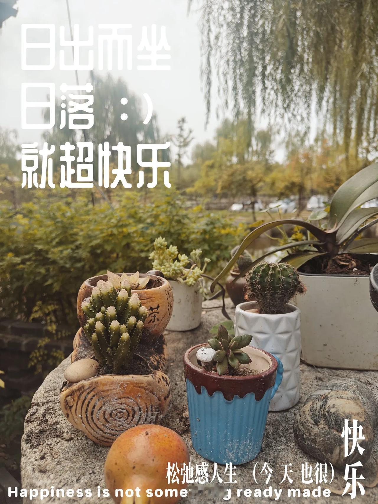 忙里偷闲，寻一方小院，慢度时光[比心][比心][比心]#开启周末慢生活# #出门