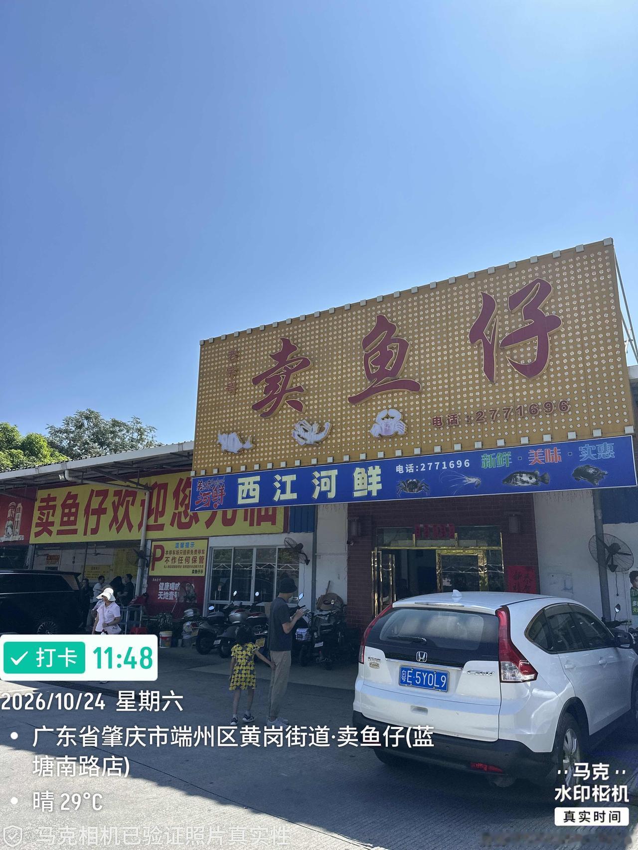 西江从肇庆穿城而过，两岸青山绿水，沿途水草丰茂，江深水急，自然盛产肥美的河鲜，来