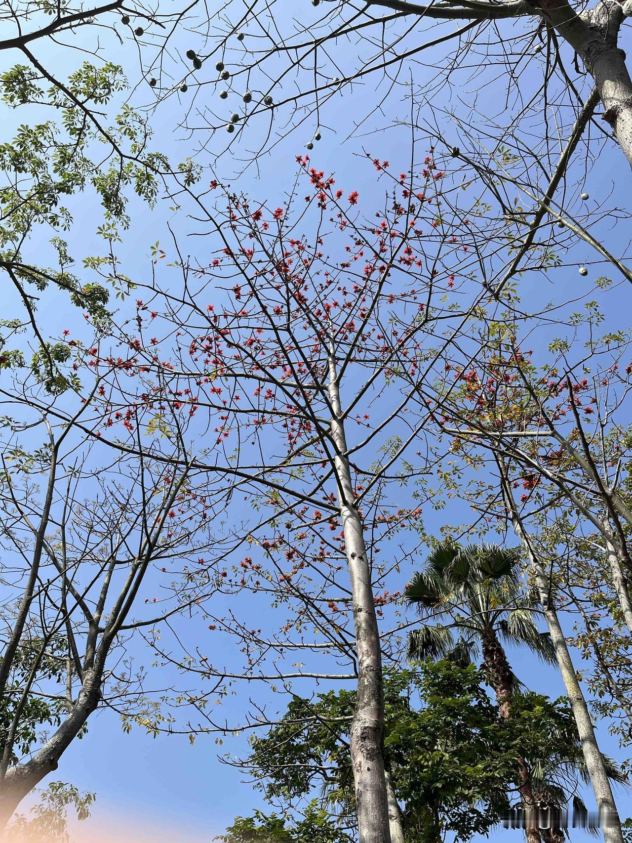 《资治通鉴》：翻完一千三百年，你会发现一个血淋淋的真相：

社会的本质，从来不是