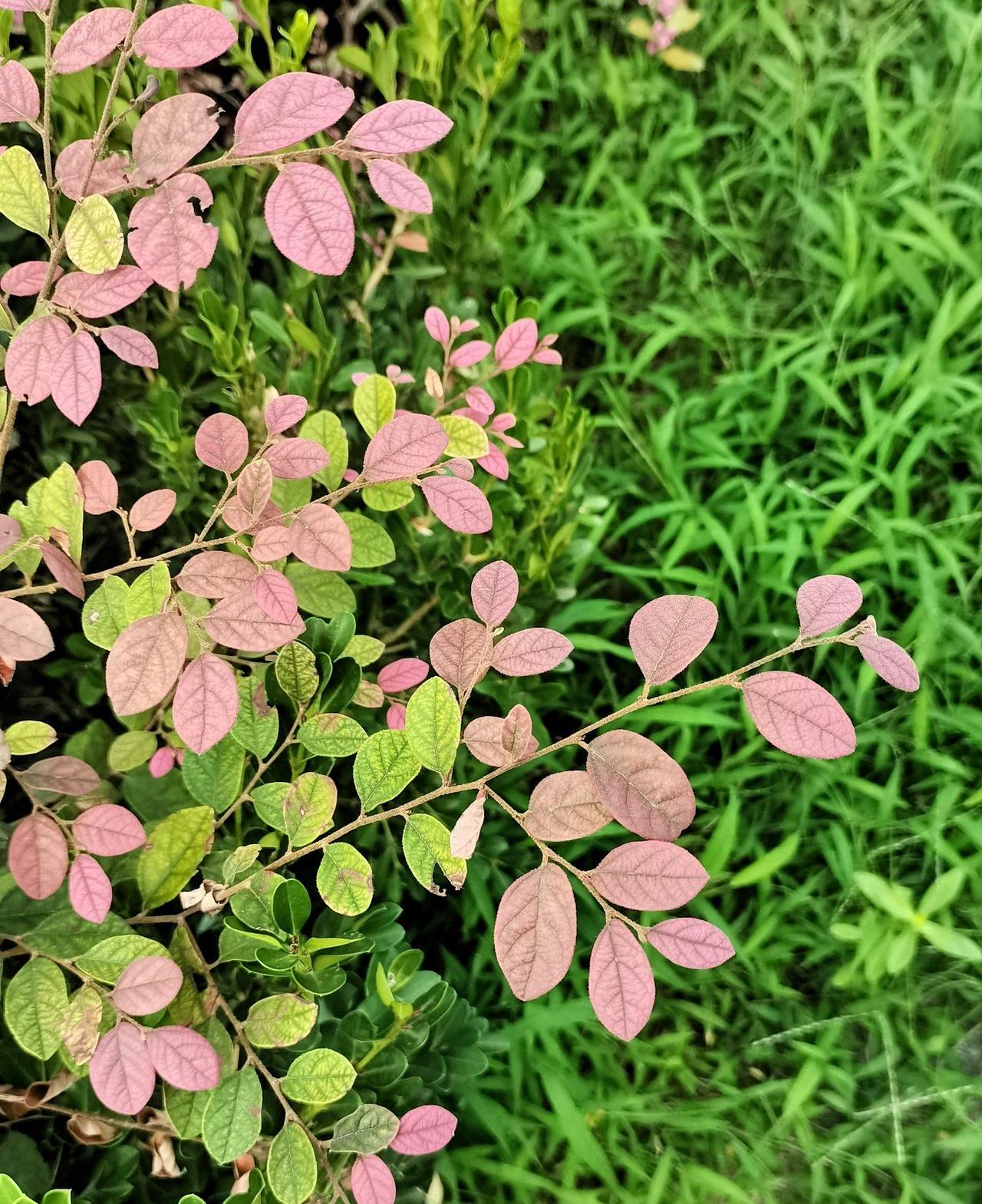 白露一到，风里那股黏腻的潮气总算散了。早上去公园溜达，手心里没再沁汗，倒是胳膊上