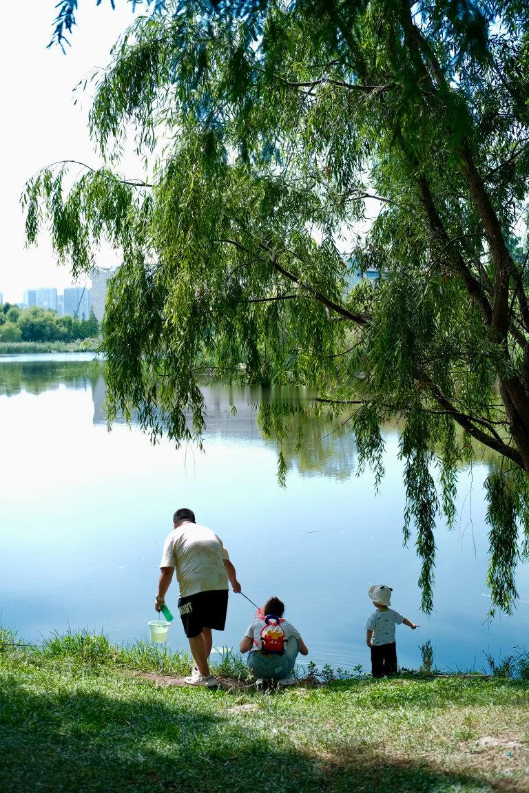 滇式慵懒生活 下次我也带块毯子来睡觉💤 昆明·宝丰湿地公园