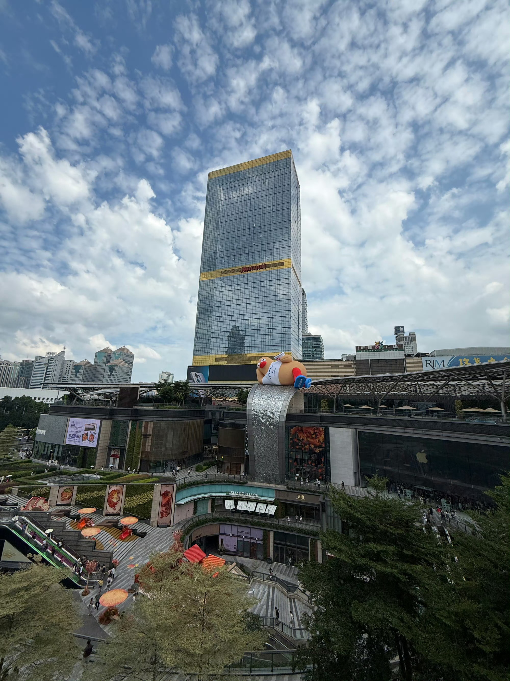 在一只鸭子身上看到了入乡随俗 广州街头的鸭子把“本地范”拿捏了！脚踩人字拖慢悠悠