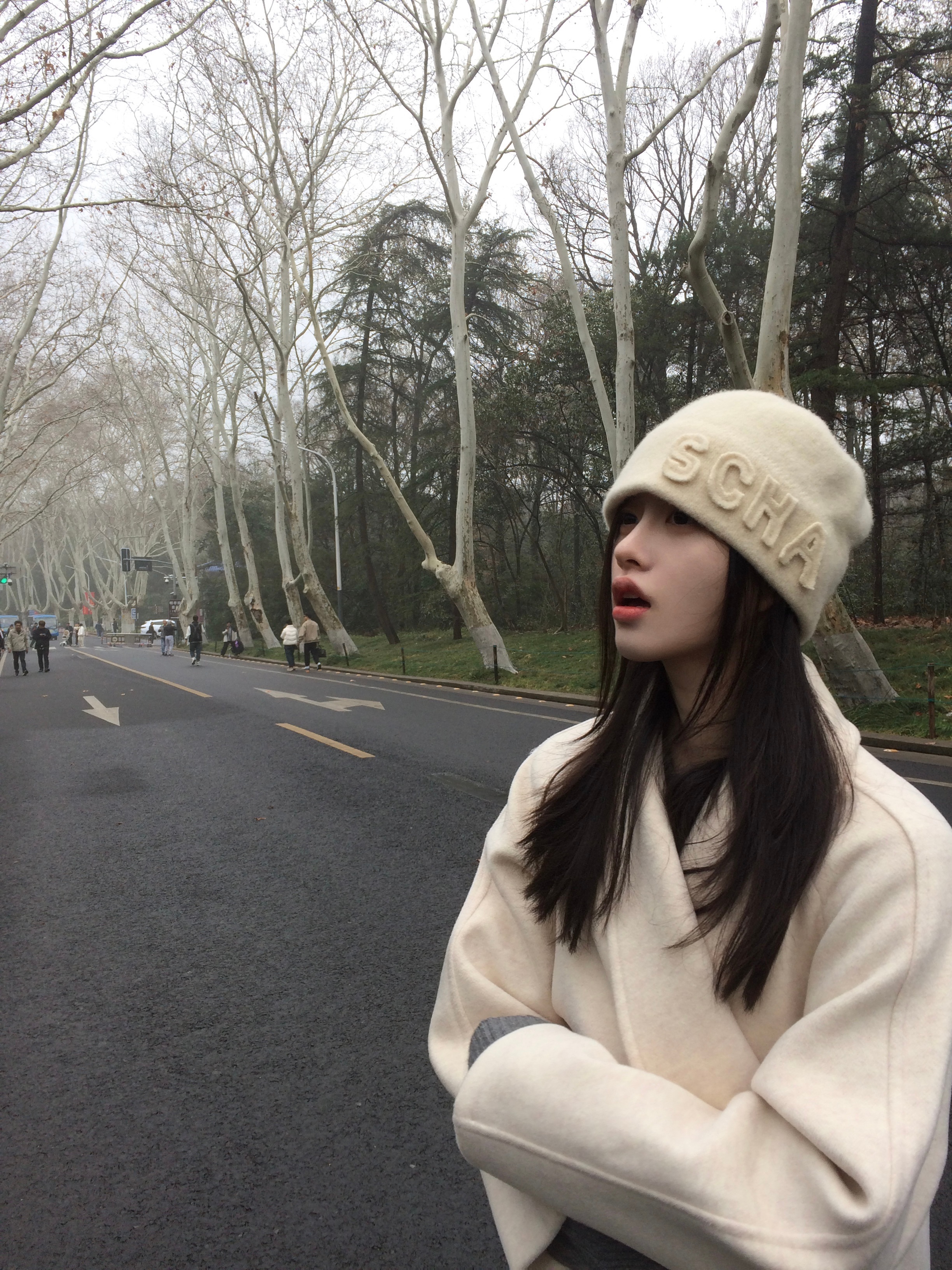 早晨的梧桐大道 ​​​