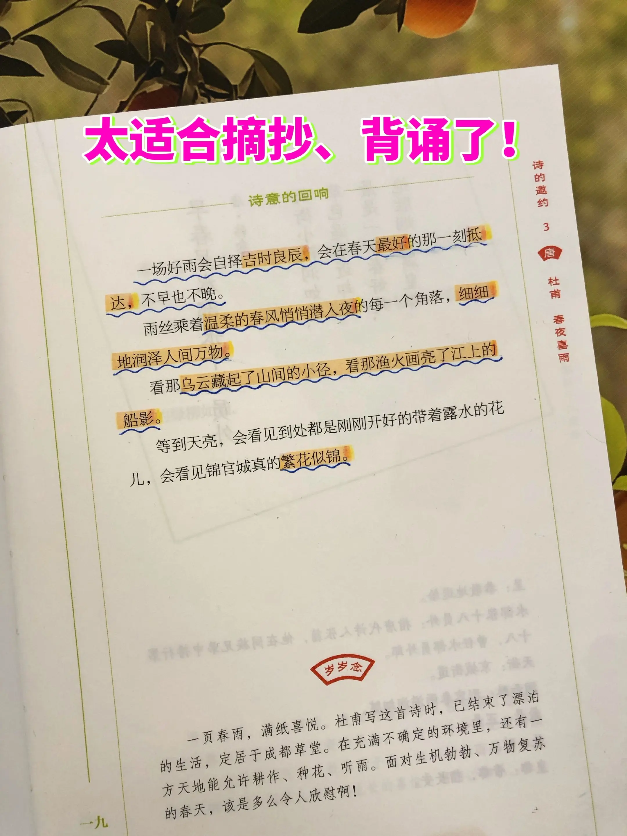 这套书让孩子的作文彻底开了窍✨。写作素材匮乏，写作文干巴巴的孩子，这套...