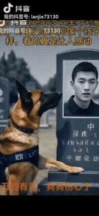 狗狗除了不会说话
它啥都知道[泣不成声]