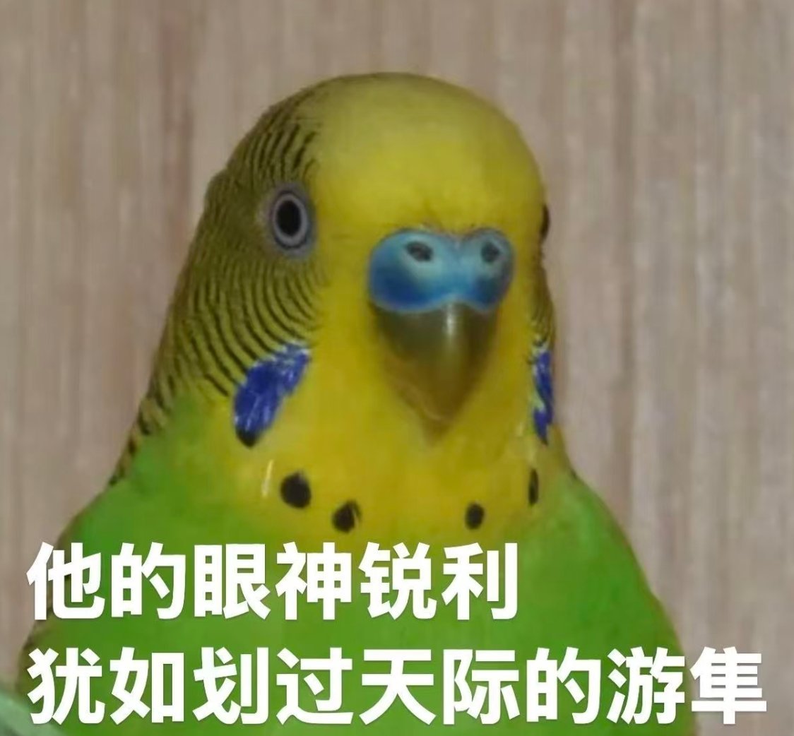 因为早就不玩深空了，所以反而作为看客，很好奇狼人上线后卡面活动和主线怎么样 