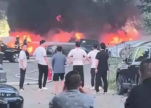 烧扬絮造成20辆新能源车起火
 
5月30日，辽宁大连甘井子区一处停车场起火的视