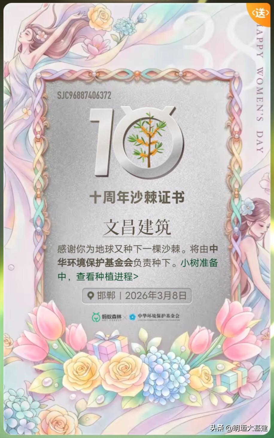 【妇女节，我种了一棵沙棘】
看到我刚刚收获的“十周年沙棘证书”，突然觉得，这不仅