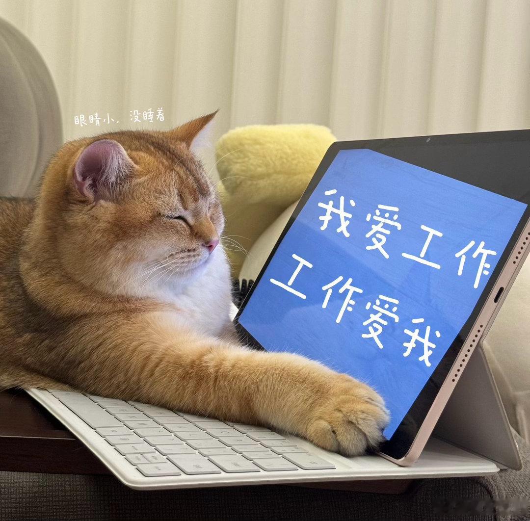 端午假期过后第1天端午的粽子香气还没散尽，假期余额已经彻底归零，正式切换打工模式